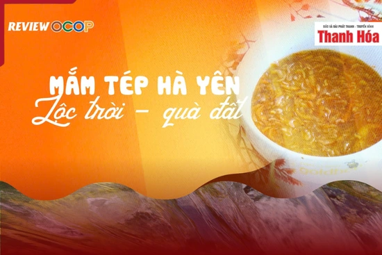 [REVIEW OCOP] Mắm tép Hà Yên - “Lộc trời - quà đất”