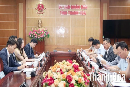 Phó Chủ tịch Thường trực UBND tỉnh Nguyễn Văn Thi làm việc với doanh nghiệp Nhật Bản về Dự án Nhà máy nhiệt điện LNG Nghi Sơn