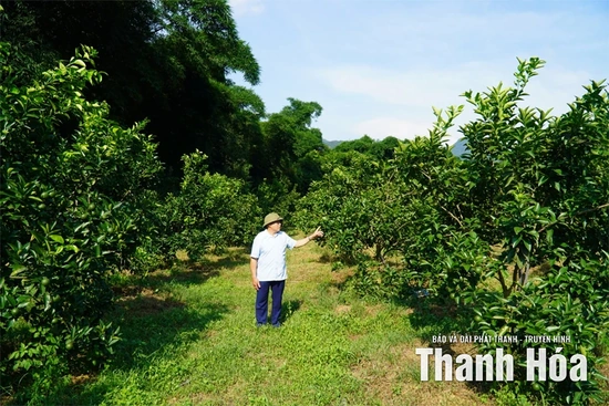 Người lan tỏa phong trào tích tụ tập trung đất đai