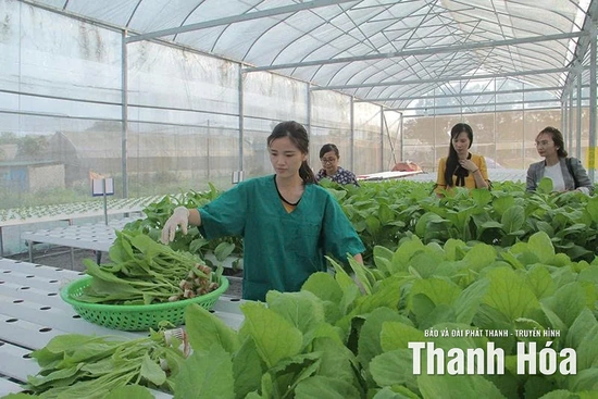 Nông nghiệp khẳng định vị thế trụ đỡ nền kinh tế (Bài 1): “Mở đường” để nông nghiệp phát triển