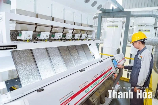 Xanh hóa nông nghiệp để cạnh tranh toàn cầu