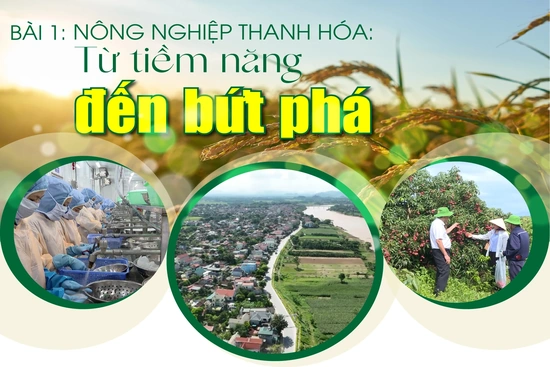 [E - Magazine] Nông nghiệp Thanh Hóa - Từ tiềm năng đến bứt phá