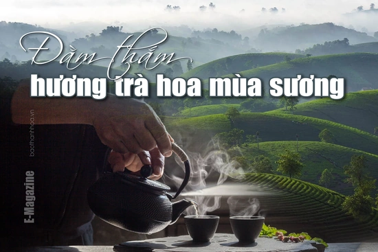 [E-Magazine]: Đằm thắm hương trà hoa mùa sương