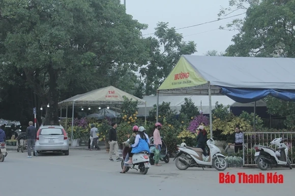TP Thanh Hóa tổ chức nhiều chợ hoa xuân trong dịp Tết Nguyên đán Kỷ Hợi