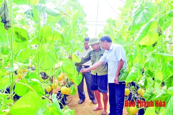 Nông dân làm giàu nhờ công nghệ 4.0