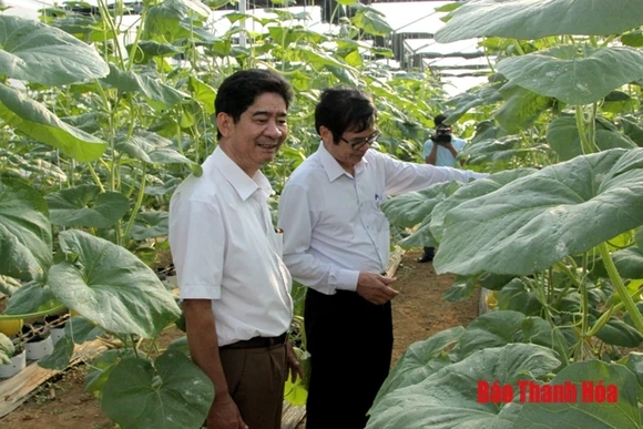 Huyện Vĩnh Lộc hỗ trợ hơn 1 tỷ đồng phát triển mô hình sản xuất trong xây dựng nông thôn mới