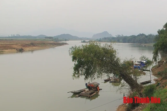 Tác nhân chính gây cá nuôi lồng chết trên sông Chu không còn hiện hữu