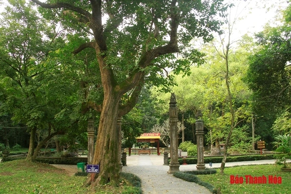 Khám phá rừng Lam Kinh