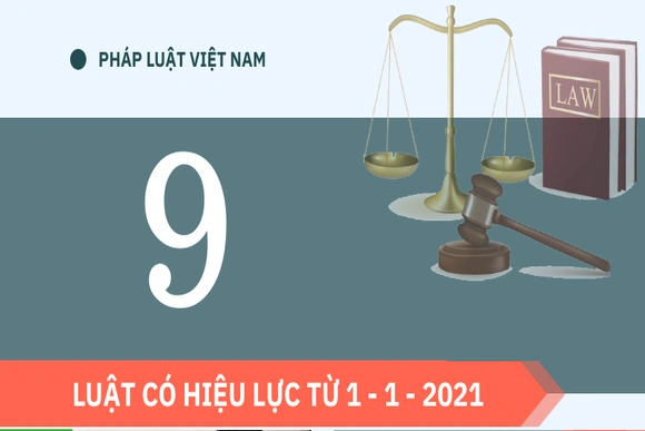 9 Luật có hiệu lực từ 1 - 1 - 2021