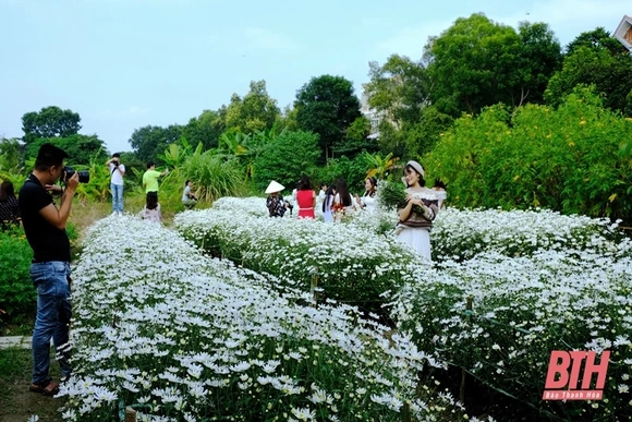 Thợ ảnh “đắt khách” mùa dịch vụ chụp ảnh cùng hoa
