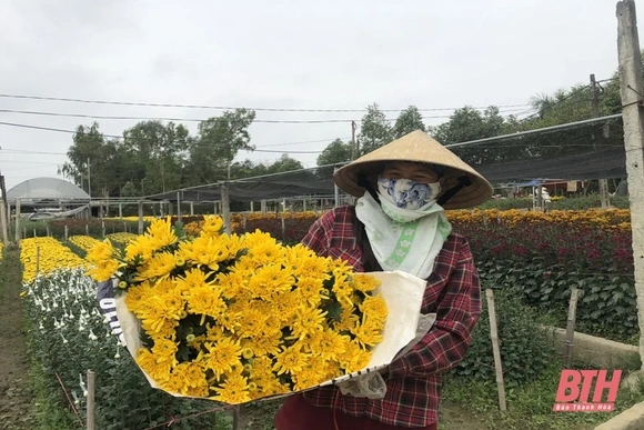 Nhà vườn Đông Cương lo hoa tết ế vì dịch bệnh