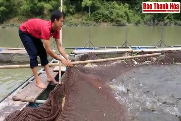 Phát triển   nghề nuôi cá lồng ở lòng hồ thủy điện Trung Xuân