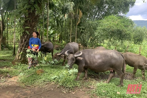 Tặng Bằng khen cho 4 tập thể trong thực hiện chính sách tín dụng ưu đãi đối với hộ nghèo