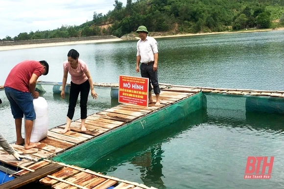 Phấn đấu đến năm 2025, diện tích nuôi cá lồng toàn tỉnh đạt 200 ha 