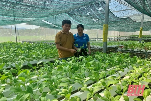 Góp phần xây dựng nền nông nghiệp địa phương phát triển