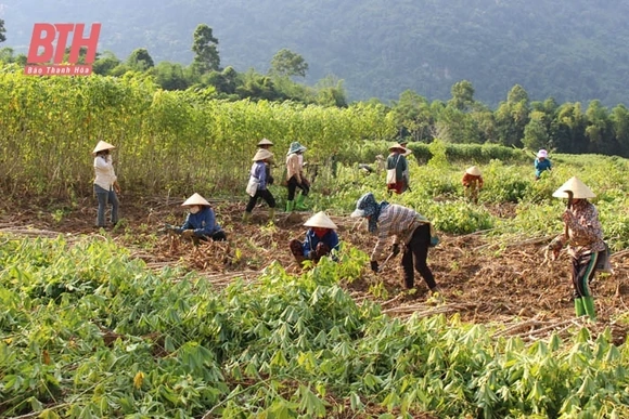 Bá Thước đẩy mạnh phát triển nông nghiệp gắn với xây dựng nông thôn mới