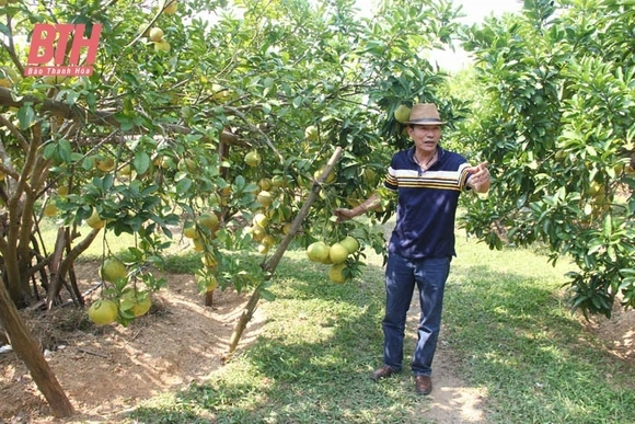Xây dựng lộ trình, đề ra giải pháp để Hà Trung cán đích huyện nông thôn mới trong năm 2023