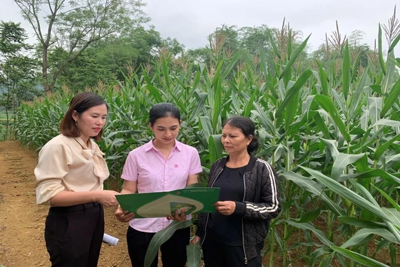 Phát huy hiệu quả nguồn vốn chính sách trên địa bàn huyện Ngọc Lặc