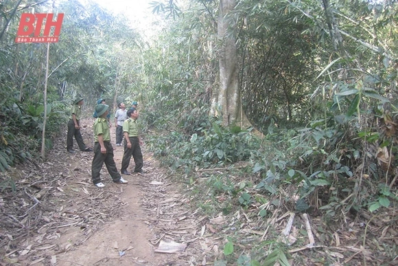 Quan Sơn chủ động giữ rừng mùa nắng nóng