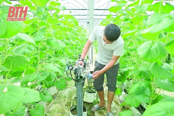 Ứng dụng công nghệ vào sản xuất nông nghiệp