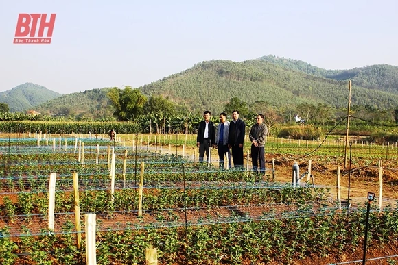 Lan tỏa việc học và làm theo Bác ở Đảng bộ huyện Hà Trung