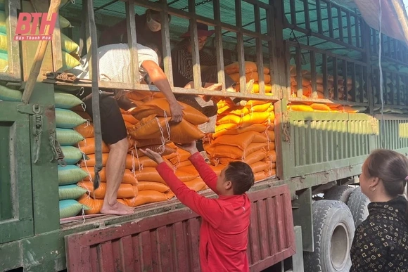 Mường Lát khẩn trương cấp phát gạo cho người trồng rừng