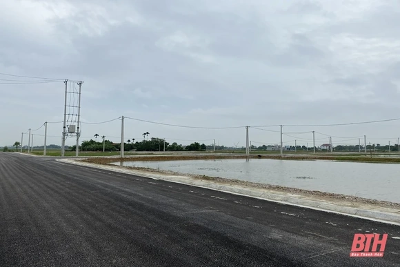 Tiếp tục tập trung triển khai thực hiện tốt công tác quy hoạch trên địa bàn tỉnh