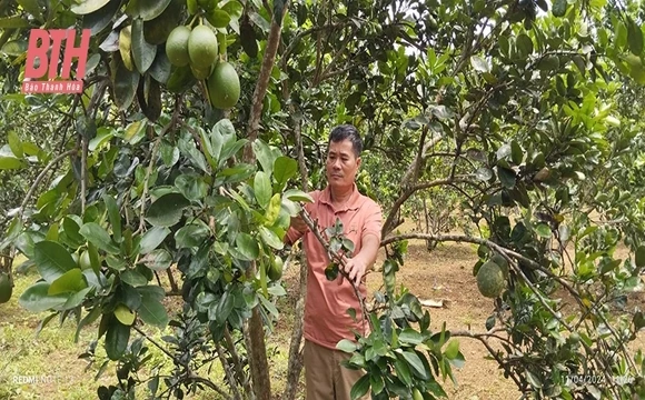 Trưởng thôn gương mẫu, tâm huyết với công việc tập thể