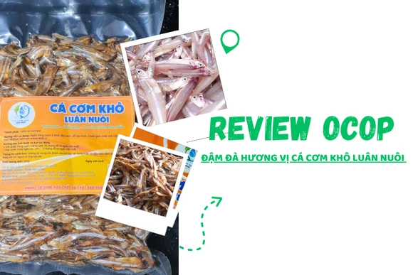 [REVIEW OCOP] ĐẬM ĐÀ HƯƠNG VỊ CÁ CƠM KHÔ LUÂN NUÔI
