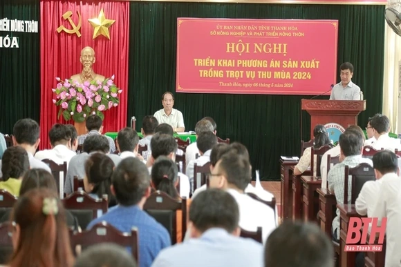 Ngành Nông nghiệp phấn đấu giá trị sản xuất vụ thu mùa 2024 đạt 9.178,7 tỷ đồng