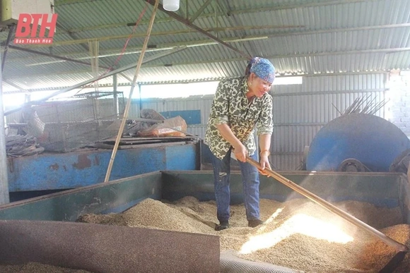 Ứng dụng công nghệ tiên tiến trong bảo quản, chế biến nông sản