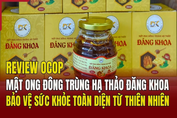[REVIEW OCOP]  Mật ong đông trùng hạ thảo Đăng Khoa: Bảo vệ sức khỏe toàn diện từ thiên nhiên