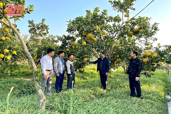 Nhân dịp huyện Hà Trung đón nhận Quyết định công nhận huyện Nông thôn mới: Thành công từ tâm huyết và sự đồng thuận