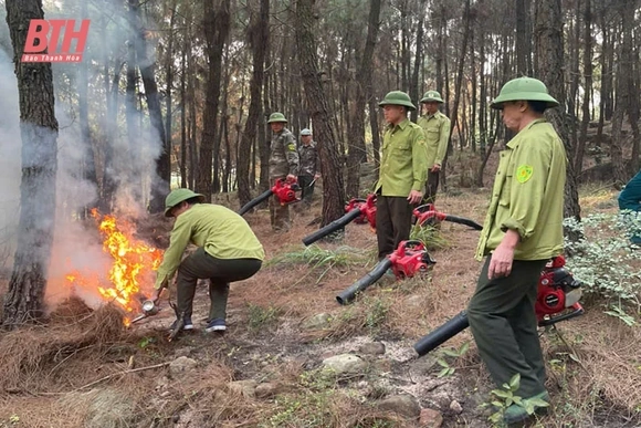 Bảo vệ và phát triển rừng ở thị xã Nghi Sơn