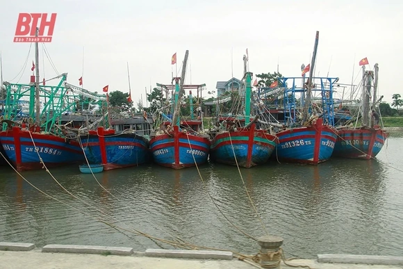 Bảo đảm các khu neo đậu tránh trú bão cho tàu cá