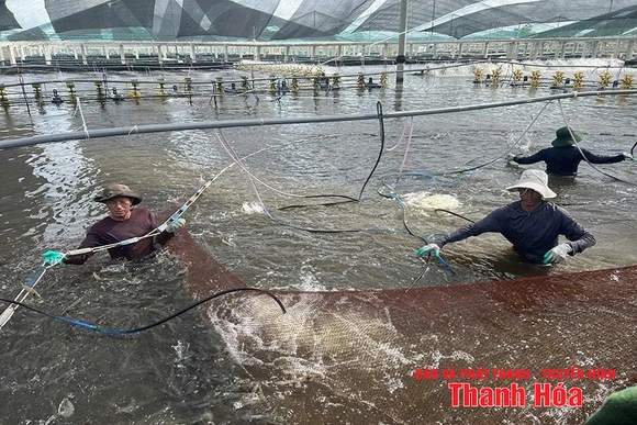 Khi công nghệ thành “bạn đồng hành”