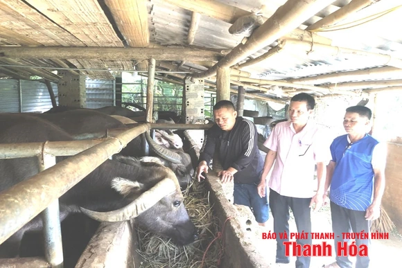 Đồng hành cùng người nghèo