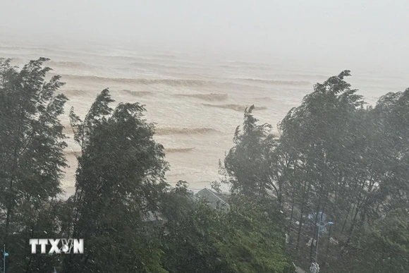 Tiến sỹ Mai Văn Khiêm: Bão số 5 rất nguy hiểm, hội tụ nhiều yếu tố rủi ro cao