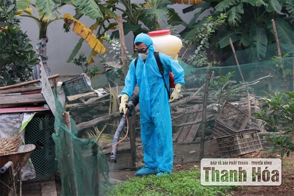 Giải “bài toán” thiếu nhân viên thú y cơ sở