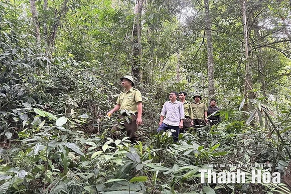 Hạt Kiểm lâm Bá Thước tuyên truyền nâng cao hiệu quả bảo vệ rừng