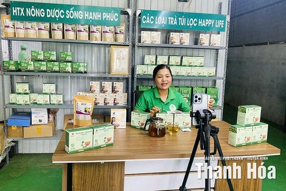 Hiệu quả ứng dụng chuyển đổi số trong các HTX