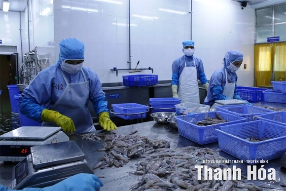 Tín hiệu tích cực từ cấp giấy chứng nhận nguồn gốc thủy sản