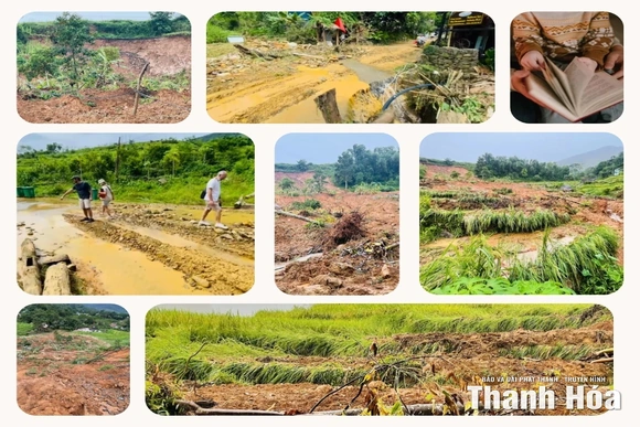 Các cơ sở lưu trú du lịch nỗ lực “vực dậy” sau bão