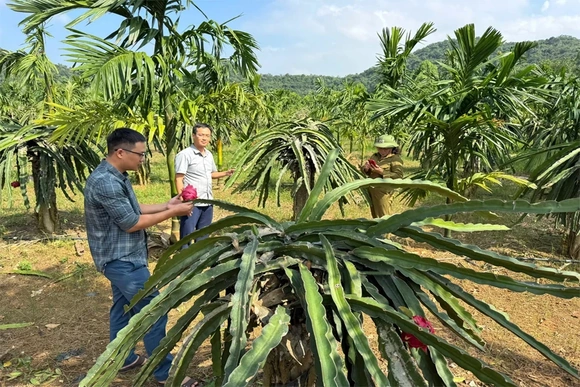 Vân Du đưa nghị quyết đại hội đảng bộ vào cuộc sống