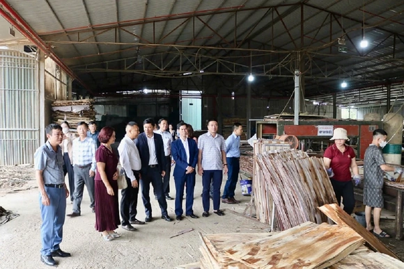 VCCI Thanh Hóa - Ninh Bình kết nối giao thương, xúc tiến thương mại