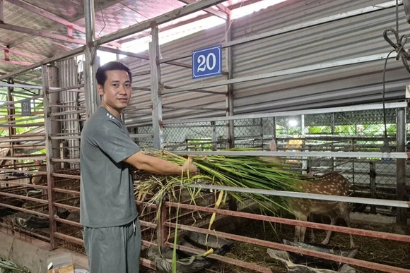 Hiệu quả từ chương trình xuất khẩu lao động ở xã miền núi Mậu Lâm