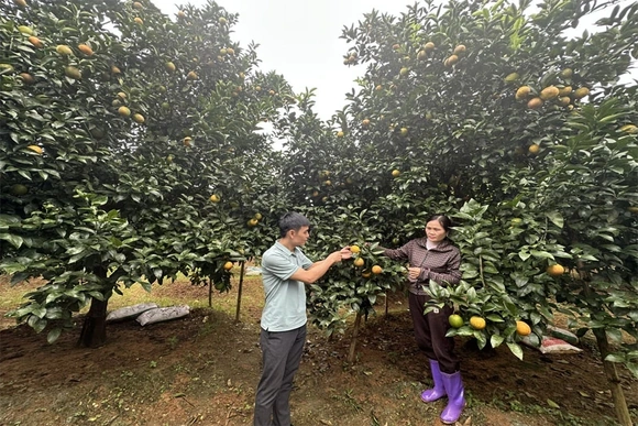 Điền Lư đưa nghị quyết đại hội Đảng vào cuộc sống