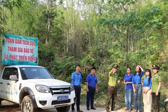 Đẩy mạnh tuyên truyền pháp luật về bảo vệ rừng