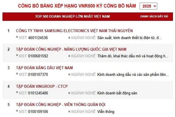 Công bố Bảng xếp hạng VNR500 - Top500 Doanh nghiệp lớn nhất Việt Nam năm 2025
