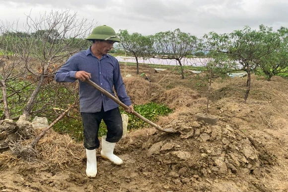 Nông dân Quảng Chính gồng mình sau bão